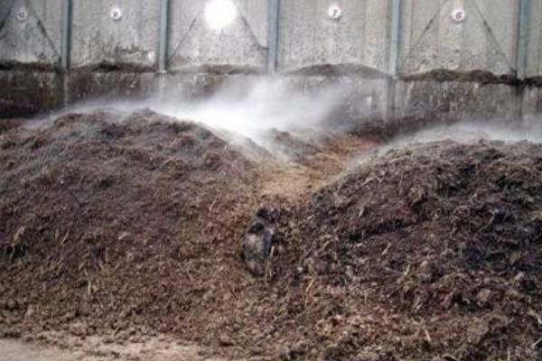 养鸡饲料如何配