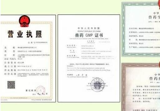 养猪要什么条件