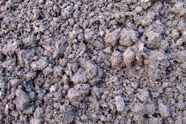 蚯蚓粪可以种葡萄吗