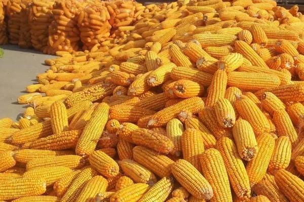 农村开什么厂赚钱