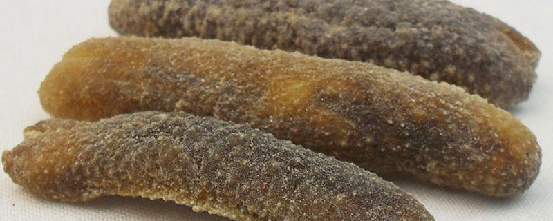 光参、刺参、辽参、北极参的区别分别是什么