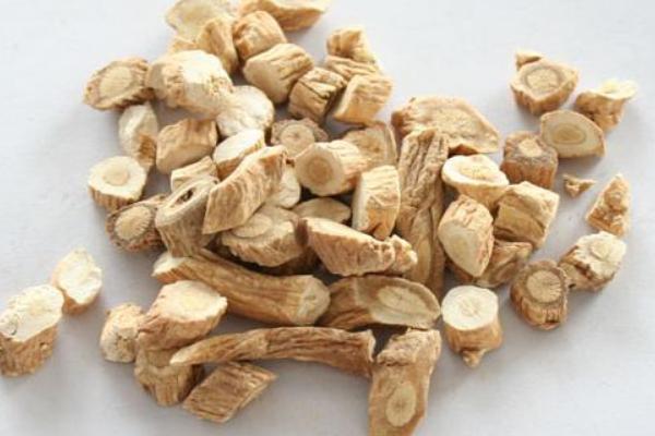 板蓝根的功效与作用及禁忌