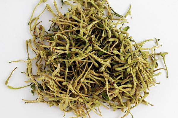 金银花的功效与作用及禁忌