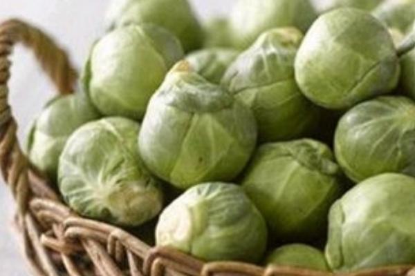 抱子甘蓝营养价值 抱子甘蓝功效与作用