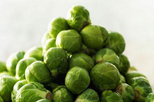 抱子甘蓝营养价值 抱子甘蓝功效与作用