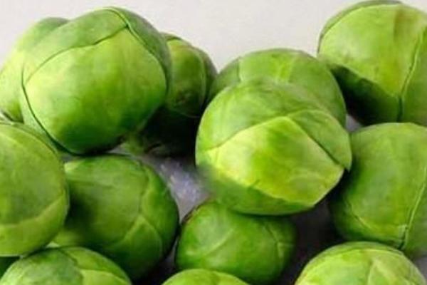 抱子甘蓝营养价值 抱子甘蓝功效与作用