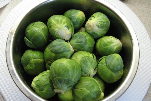 抱子甘蓝营养价值 抱子甘蓝功效与作用