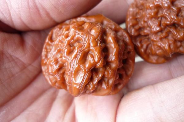 文玩核桃什么品种最好 文玩核桃种类有哪些