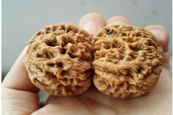 麻核桃市场价格多少钱一斤  麻核桃是用来干什么的