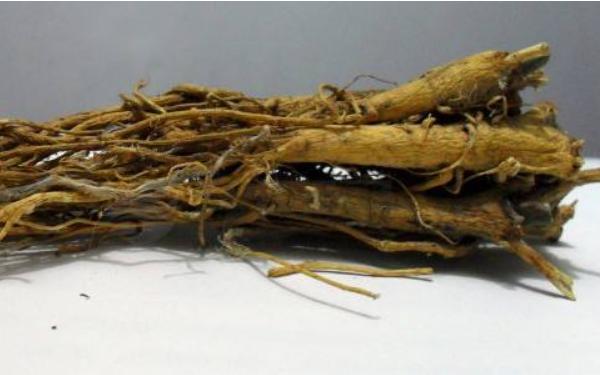 黄芩和黄芪的区别是什么 黄芩治什么病