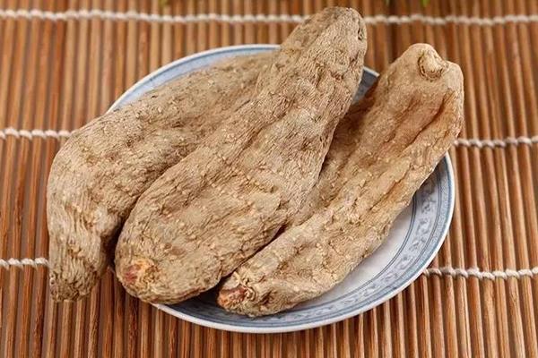 天麻图片大全 天麻简介