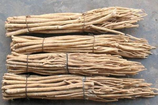 北芪与黄芪的区别是什么 北芪和黄芪一样吗