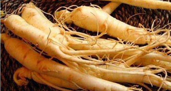 西洋参补气吗 西洋参可以长期吃吗