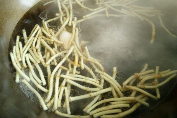 鱼腥草能治痔疮吗 鱼腥草治疗痔疮的做法