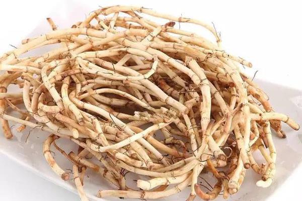 鱼腥草的功效与作用及禁忌 鱼腥草的挑选技巧