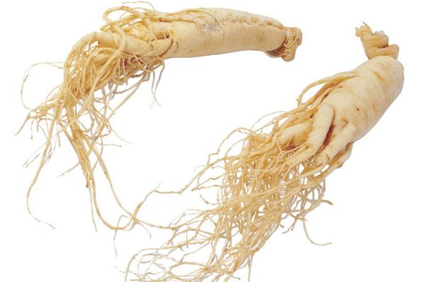 党参和人参的区别是什么 党参的简介