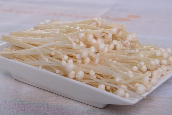 金针菇图片大全 什么是金针菇