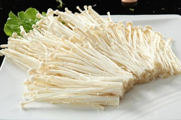 金针菇图片大全 什么是金针菇