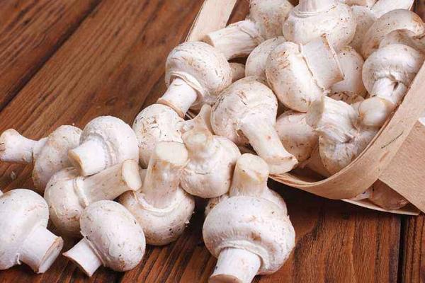 蘑菇炒肉正宗做法 蘑菇怎么炒肉好吃