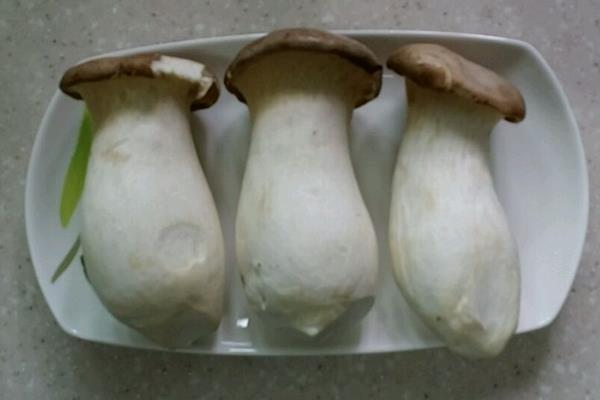 杏鲍菇和什么相克 杏鲍菇不能和什么同食