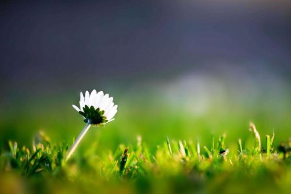 春天是什么时候 初春和早春哪个早,四月是春天还是夏天