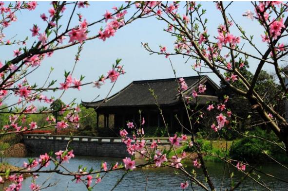 春天是什么时候 初春和早春哪个早,四月是春天还是夏天