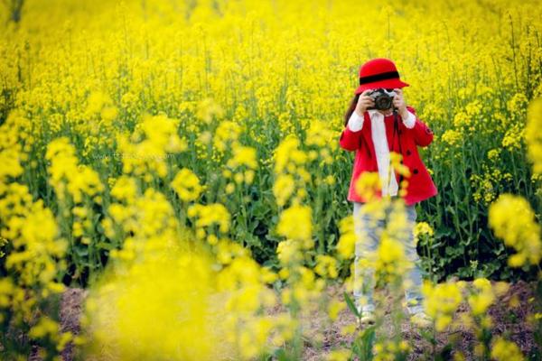 春天是什么时候 初春和早春哪个早,四月是春天还是夏天