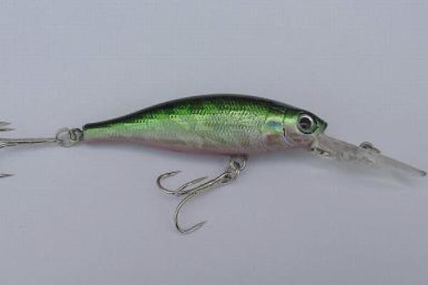 夏季钓鱼技巧(南方、北方) 夏天钓鱼用什么饵