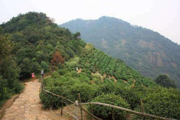 国内清明适合旅游的地方有哪些 清明节哪里好玩