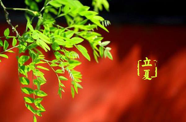 什么时候立夏(几月) 立夏的习俗有哪些