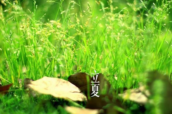 什么时候立夏(几月) 立夏的习俗有哪些