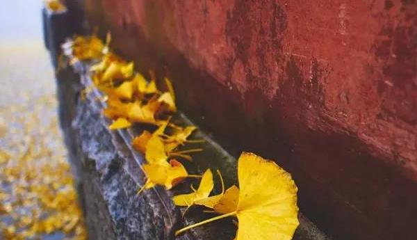 立秋节气的由来 立秋有哪些习俗 立秋是什么时候(几月)