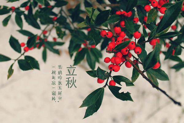 立秋节气的由来 立秋有哪些习俗 立秋是什么时候(几月)