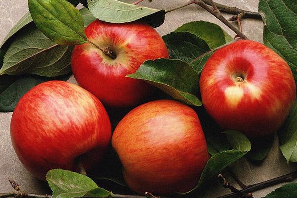 立秋节气的由来 立秋有哪些习俗 立秋是什么时候(几月)