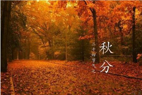 秋分节气如何养生 秋分习俗以及白露节气的由来