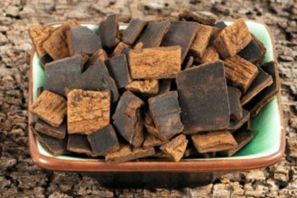 杜仲图片大全 杜仲是什么样子