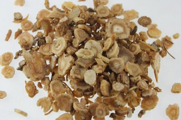 防风种植技术 防风种植时间及栽培方法