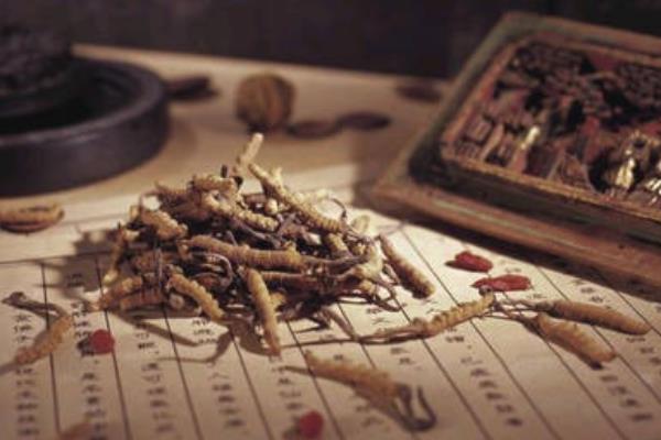 冬虫夏草怎么吃 冬虫夏草副作用