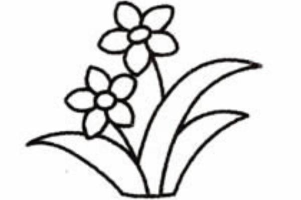 水仙花简笔画怎么画(图解步骤) 水仙花怎么折
