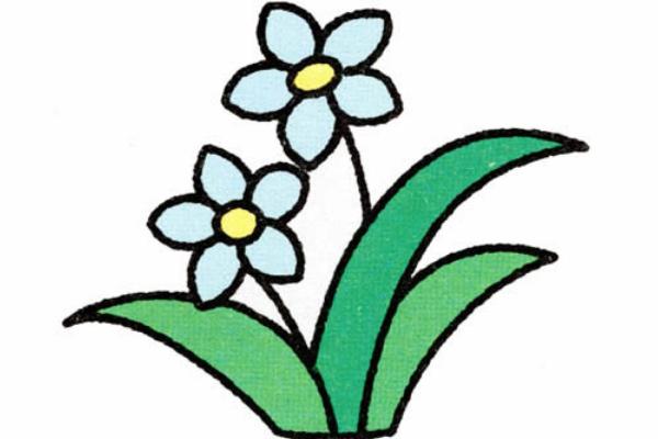水仙花简笔画怎么画(图解步骤) 水仙花怎么折