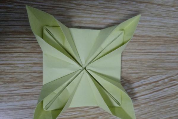 水仙花简笔画怎么画(图解步骤) 水仙花怎么折