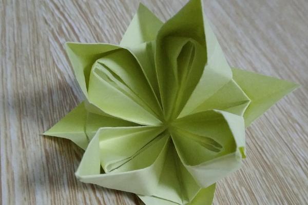 水仙花简笔画怎么画(图解步骤) 水仙花怎么折