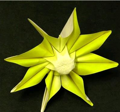 向日葵怎么折(图解步骤) 关于折纸