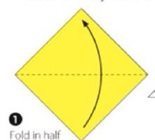 蝴蝶花怎么折(图解步骤) 蝴蝶花的特点