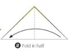 蝴蝶花怎么折(图解步骤) 蝴蝶花的特点