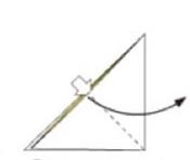 蝴蝶花怎么折(图解步骤) 蝴蝶花的特点