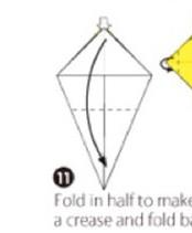 蝴蝶花怎么折(图解步骤) 蝴蝶花的特点