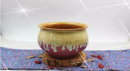 矮牵牛花图片大全 矮牵牛扦插方法(图解)