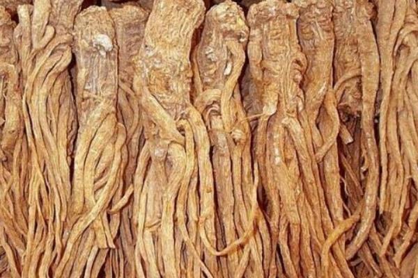 当归芍药散功效与作用 当归芍药散做法