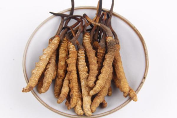 冬虫夏草和燕窝哪个好 吃燕窝的作用